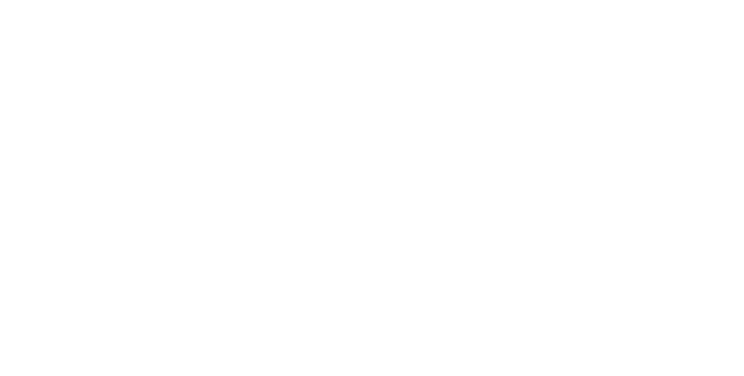 Savage Law Firm